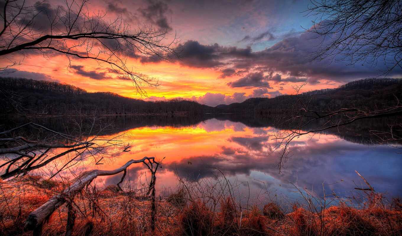 lake, sky, sunset, water, forest, evening, trees, reflection, cloud, drawings, branches