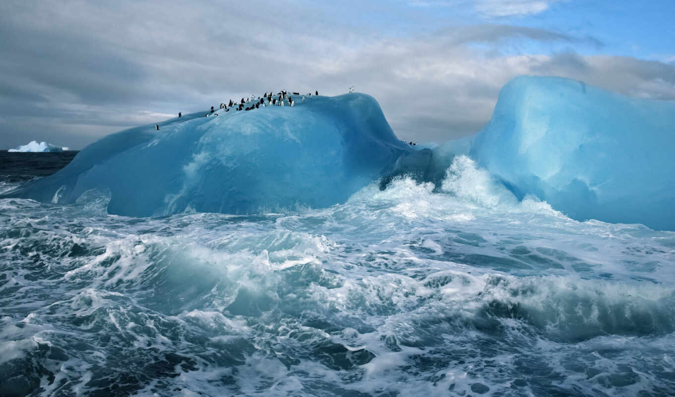 лед, снег, красивые, ocean, пингвины, north, glacier, pole, айсберги, антарктида