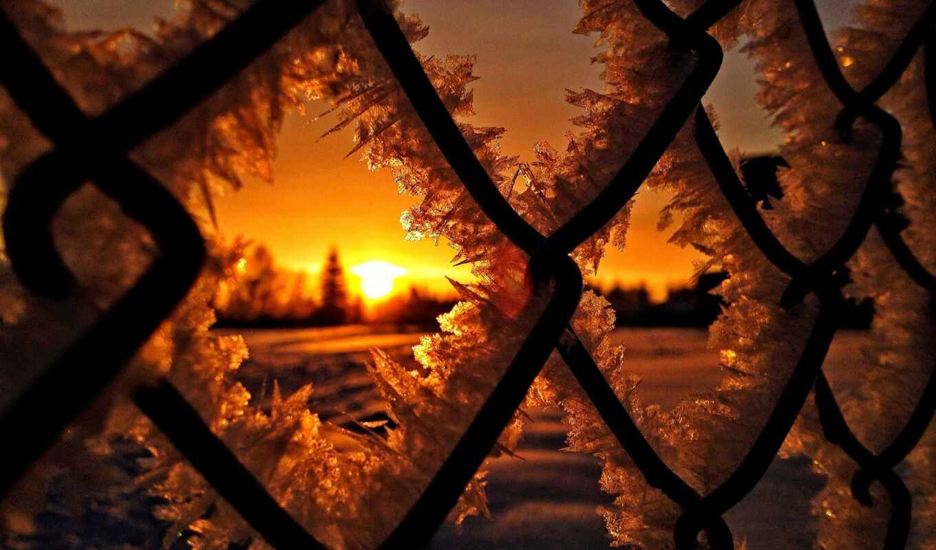 sun, frost, sunset, snow, winter, rising