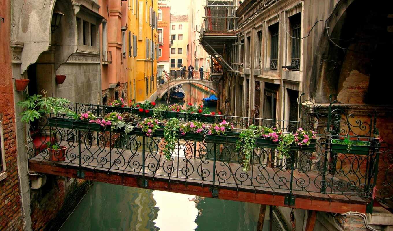 цветы, город, мост, venice, canal, italy