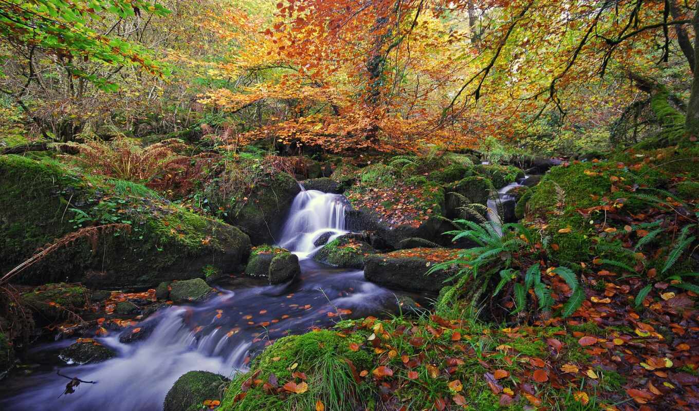 природа, лес, осень, листва, река, водопад, ручей