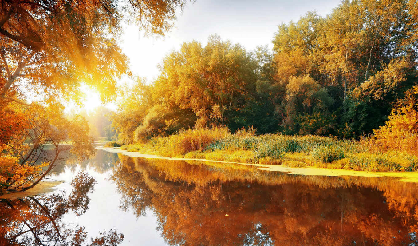 природа, осень, лесу, утро, осенние, река, утра, осеннее