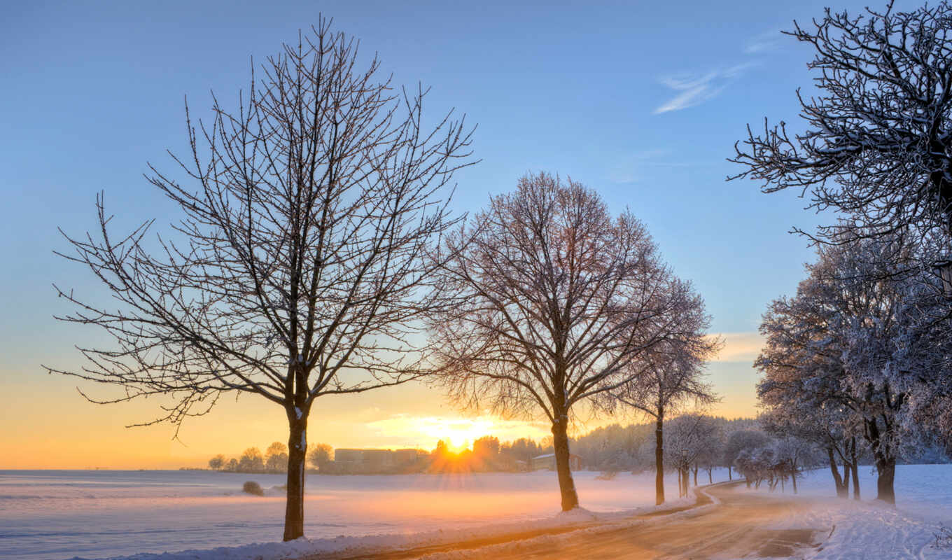 sun, снег, рассвет, winter, лес, дорога, утро, trees, german