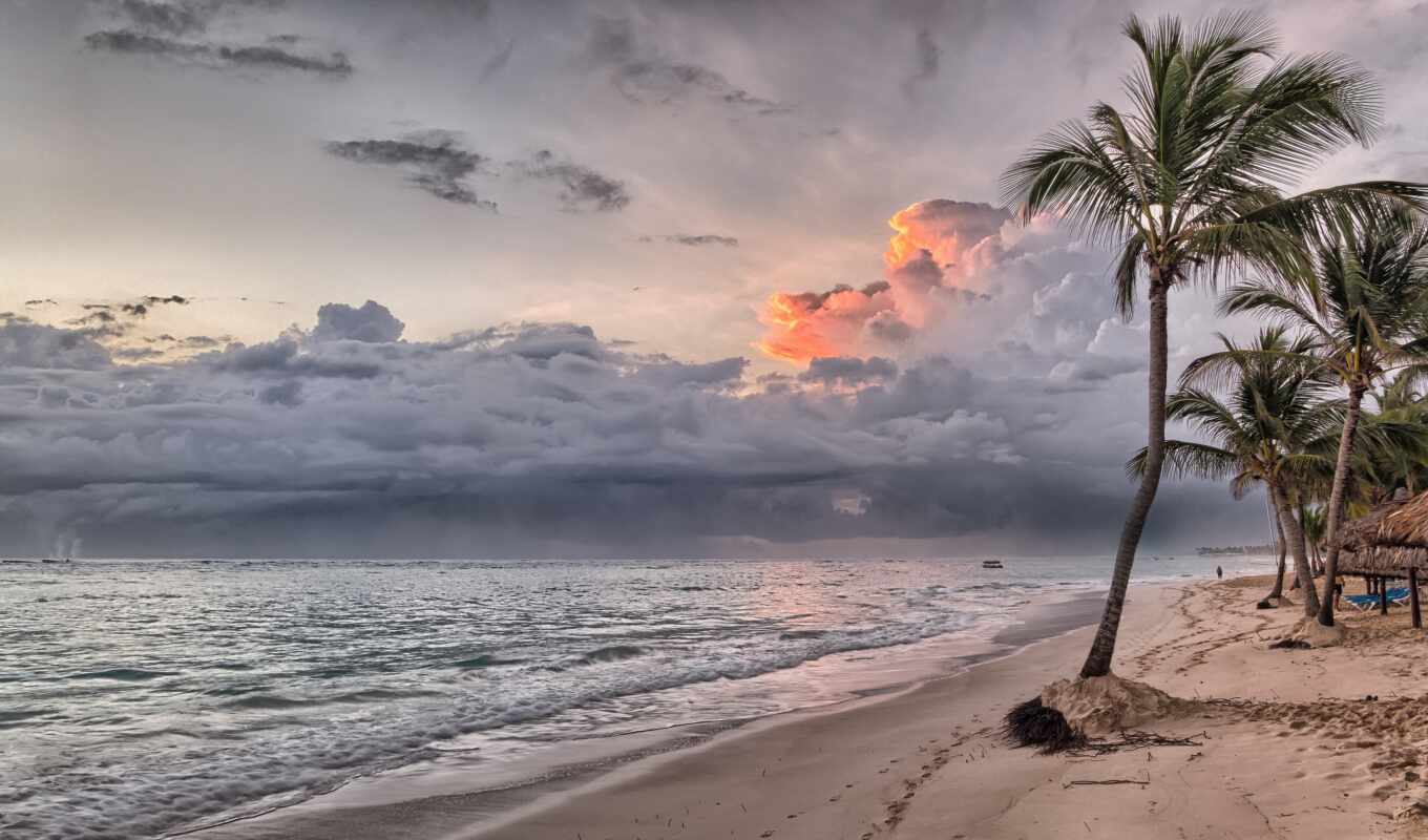 sunset, beach, sand, horizon, palm, tropical, zone, tropic, dominican, permission