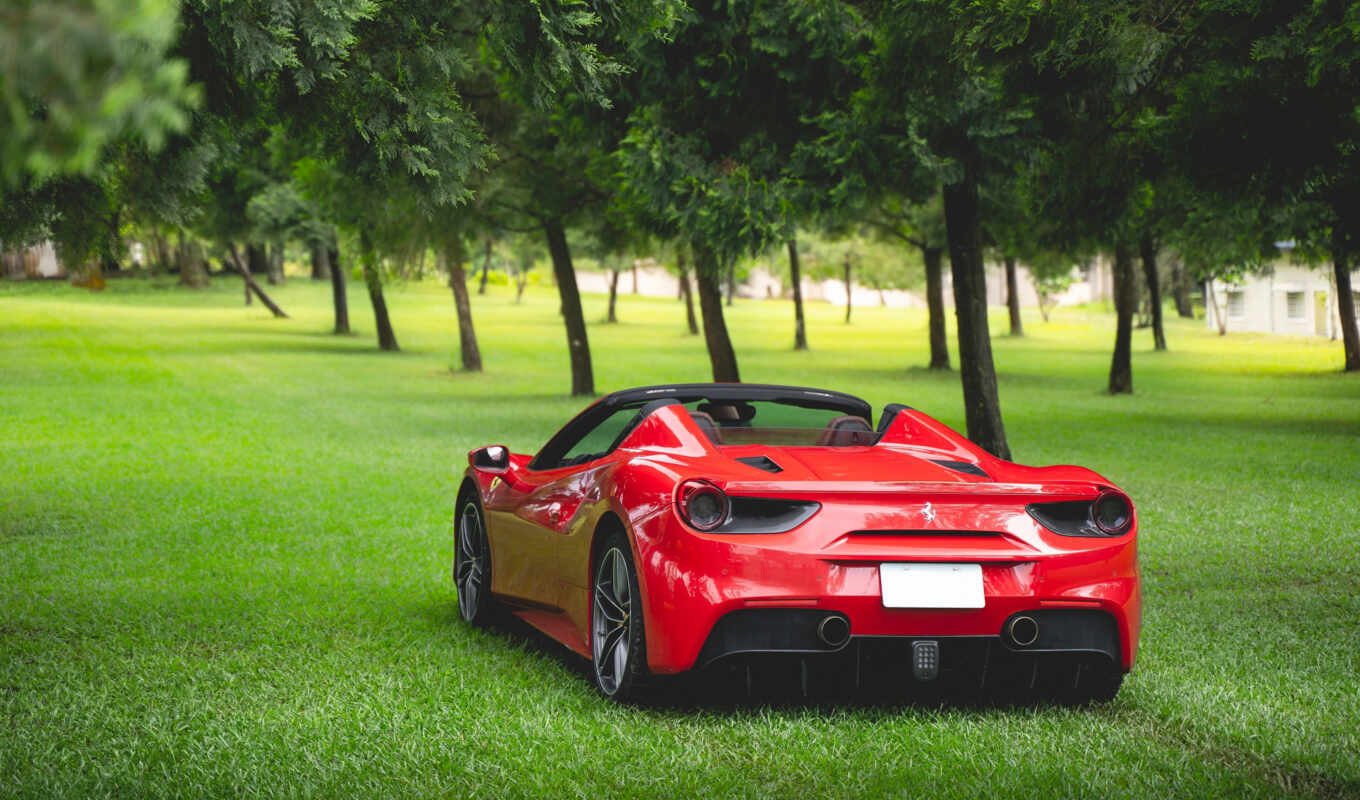 view, red, car, ferrari, from behind