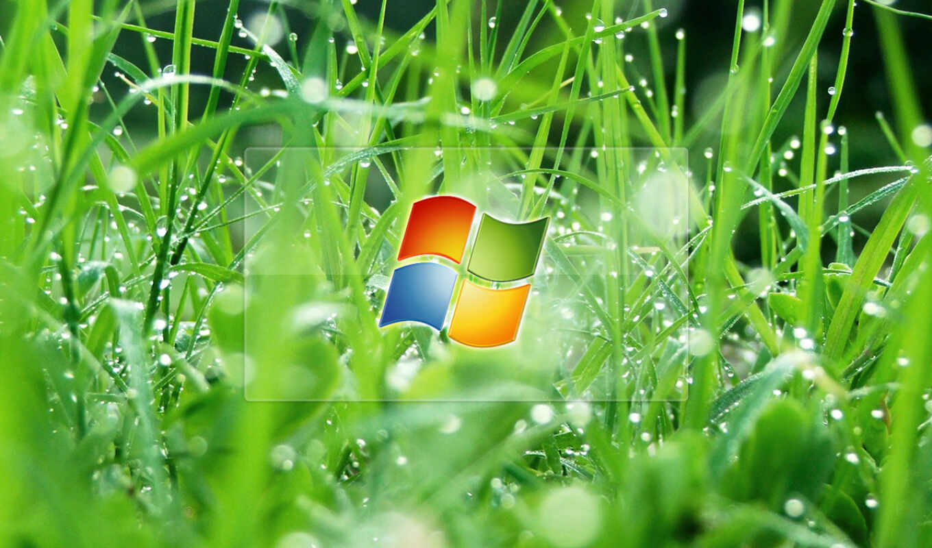 windows, компьютер, зелёный, microsoft, бейдж