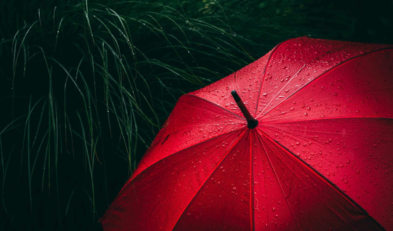 drop, ipad, дождь, red, трава, water, зонтик, размытость