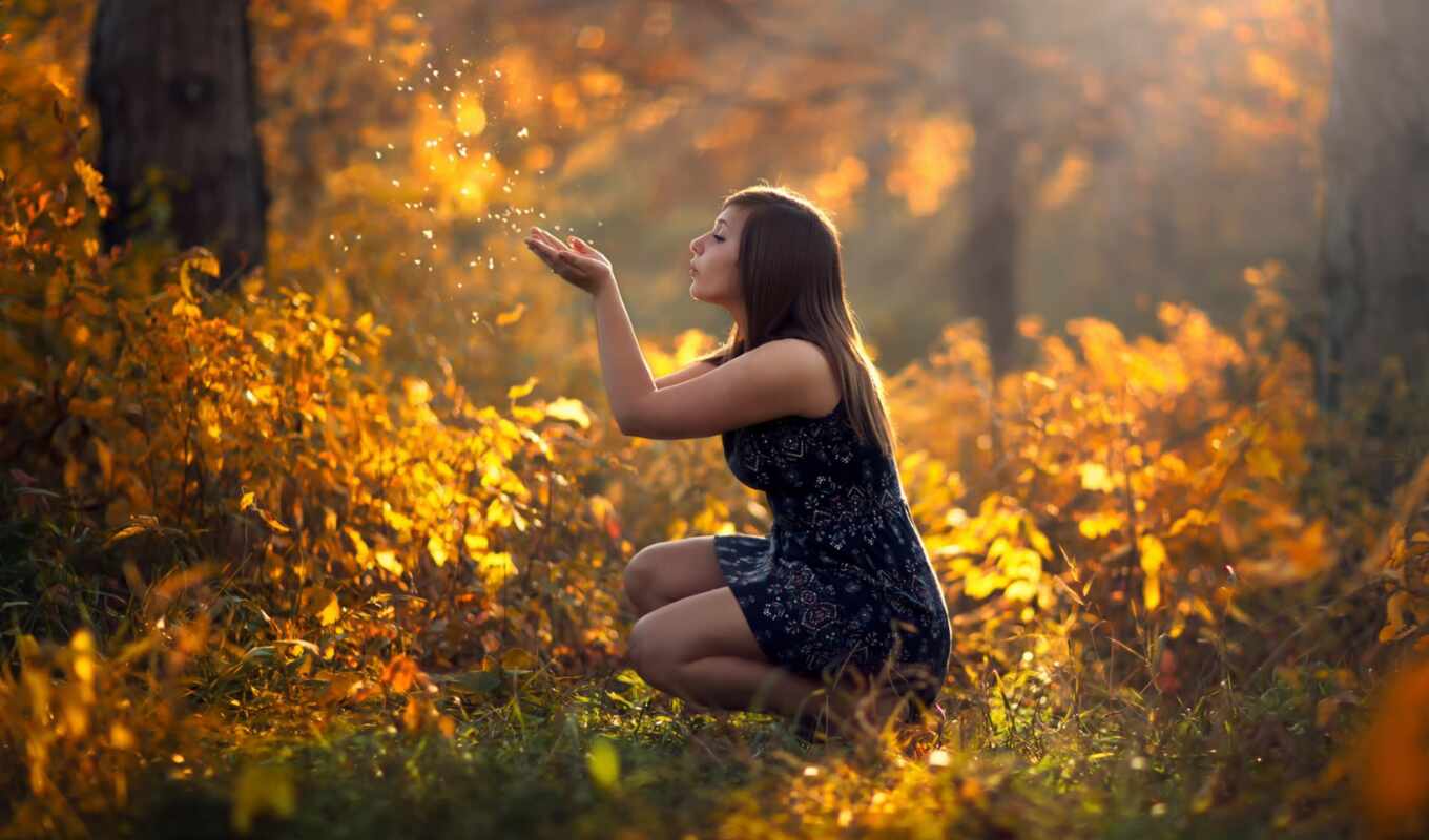 природа, фото, девушка, лист, лес, осень, красивый, alexandra, идея, oset