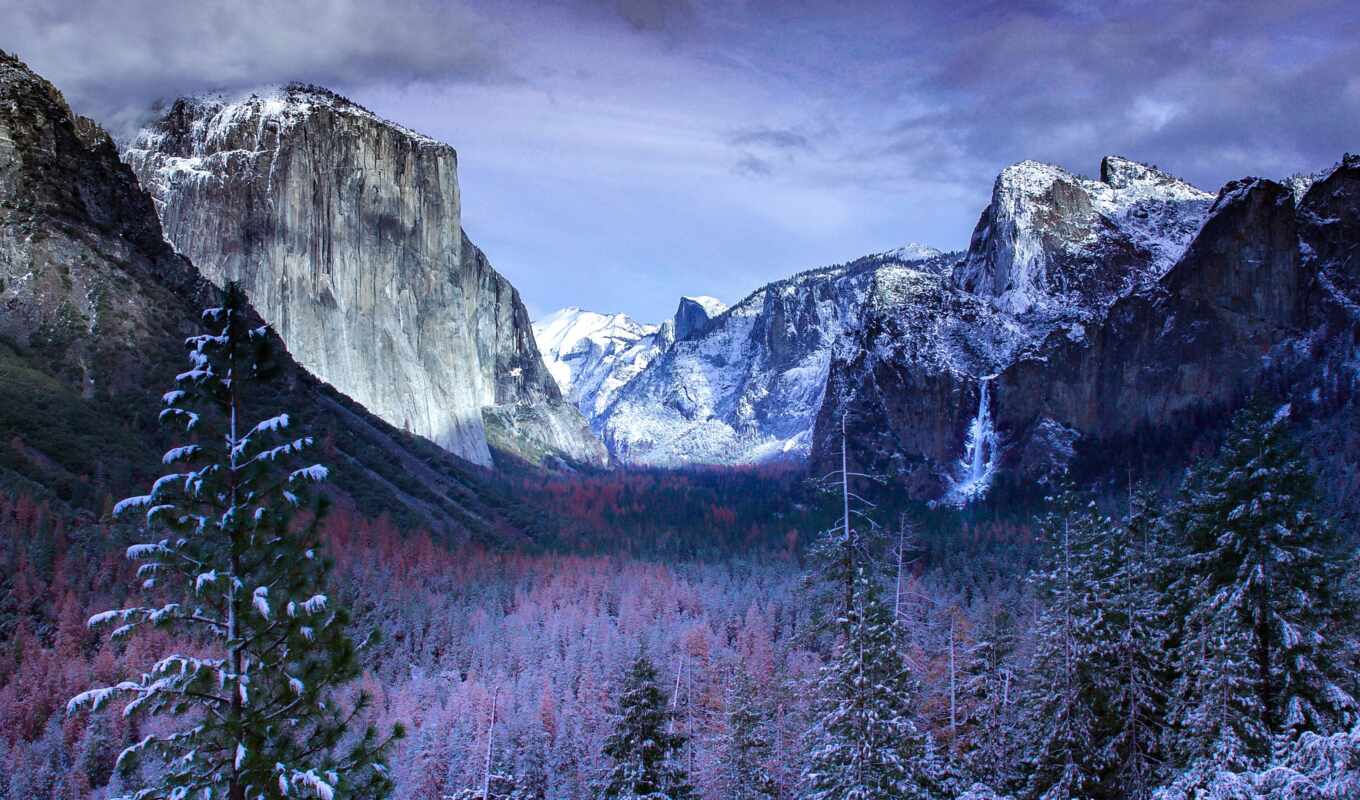 forest, mountain, park, national, valley, yosemite