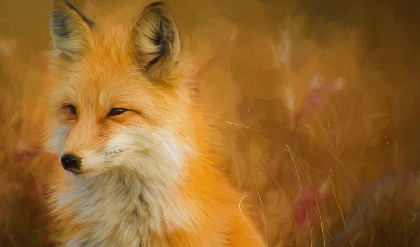 art, paint, red, painting, fox, artwork