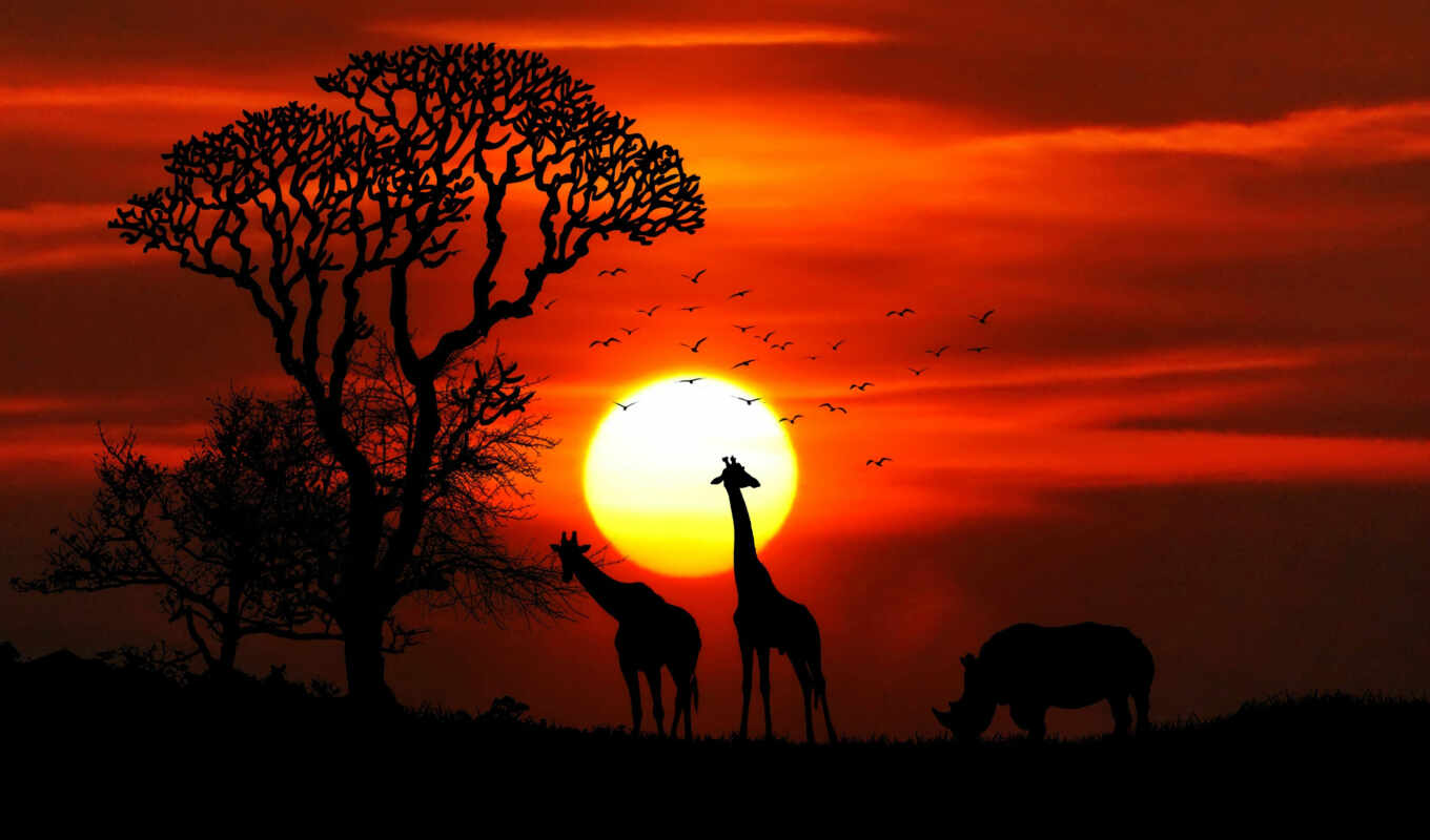 nature, sun, the, world, best, safari, different, Damien, atardeceres