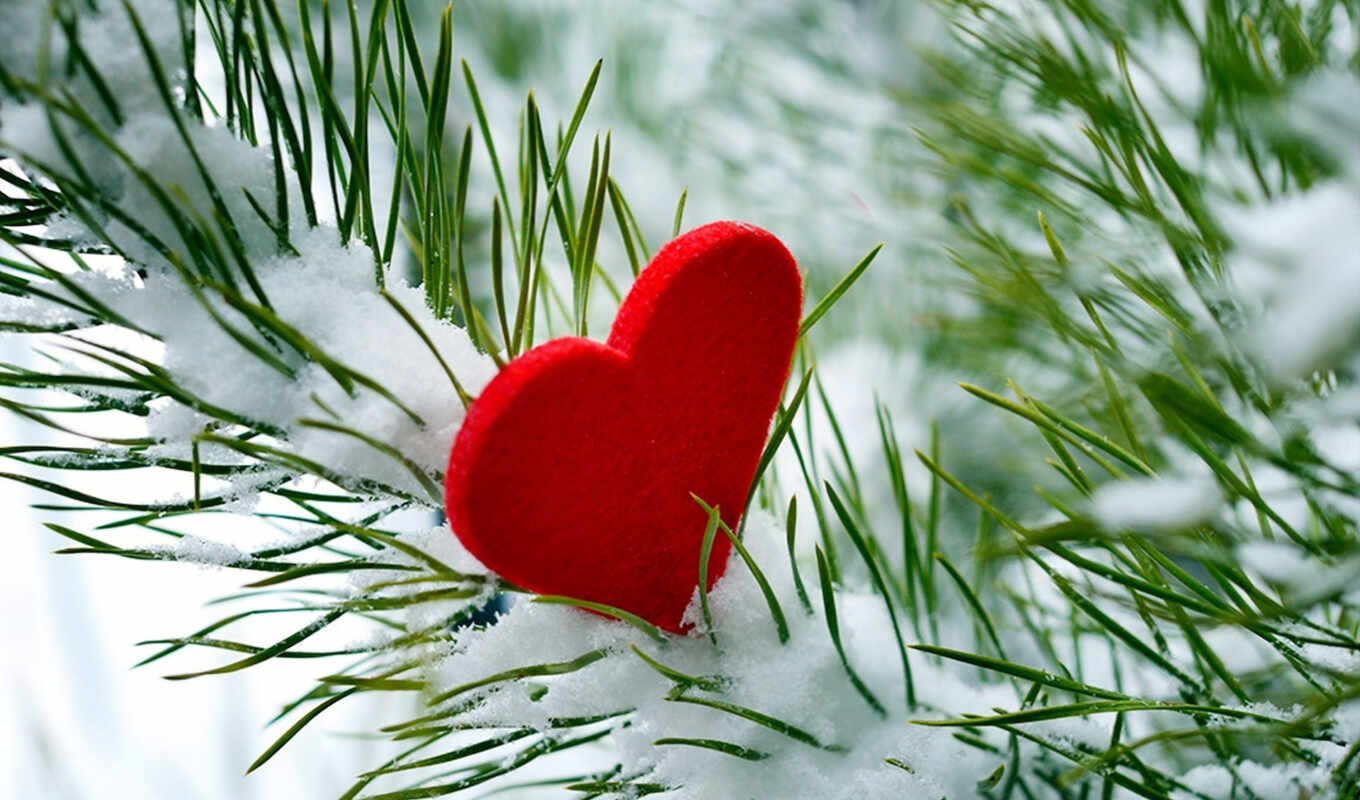 you, love, tree, snow, winter, heart
