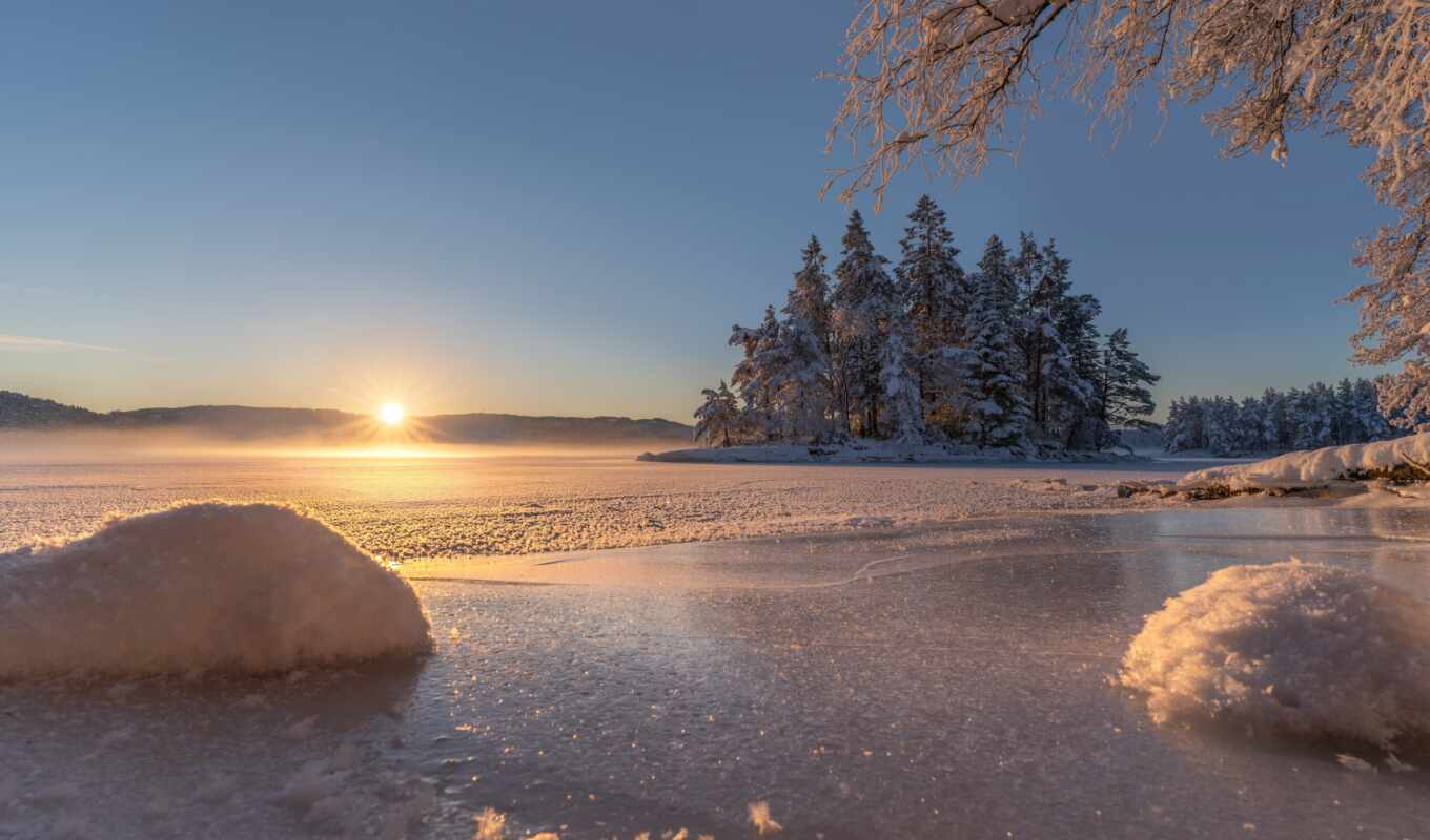 sun, tree, winter, morning, sunrise, Norway, salvage