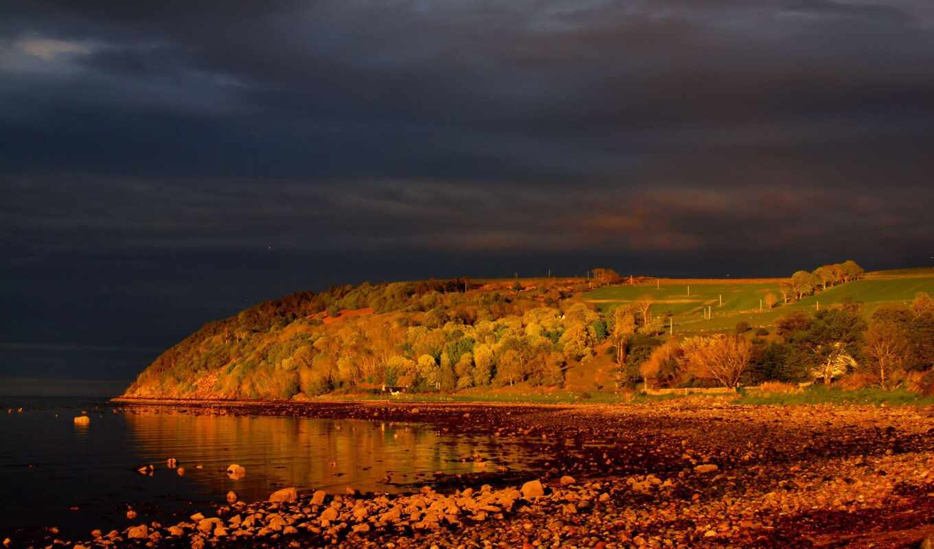 sky, forest, autumn, foliage, morning, trees, Scotland, clouds, cromarty, firth