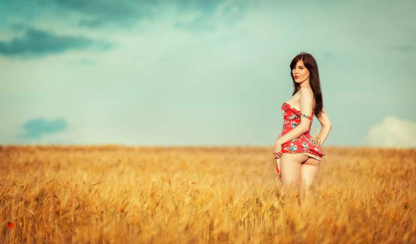 nature, sky, grass, field, beauty, ass, wheat, people in nature