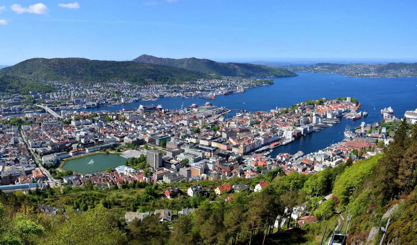 house, фон, город, кот, река, норвегия, первую, bergen, norwegian
