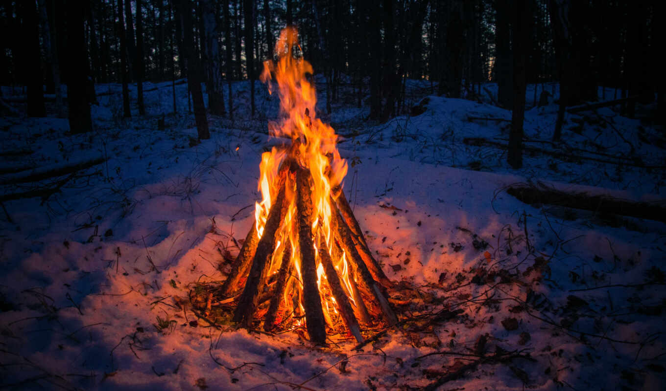 снег, winter, лес, огонь, kostryi