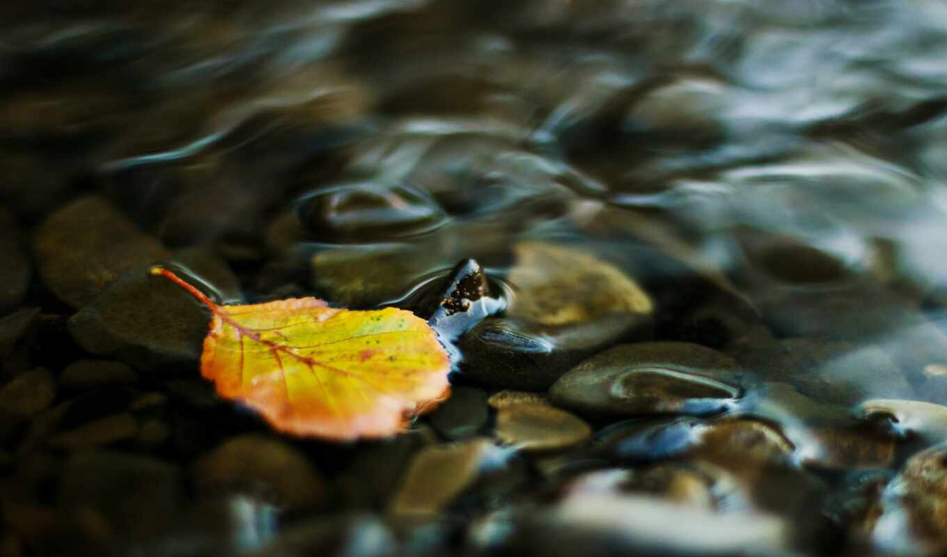 sheet, water, yellow, creek, transparent, pebbles