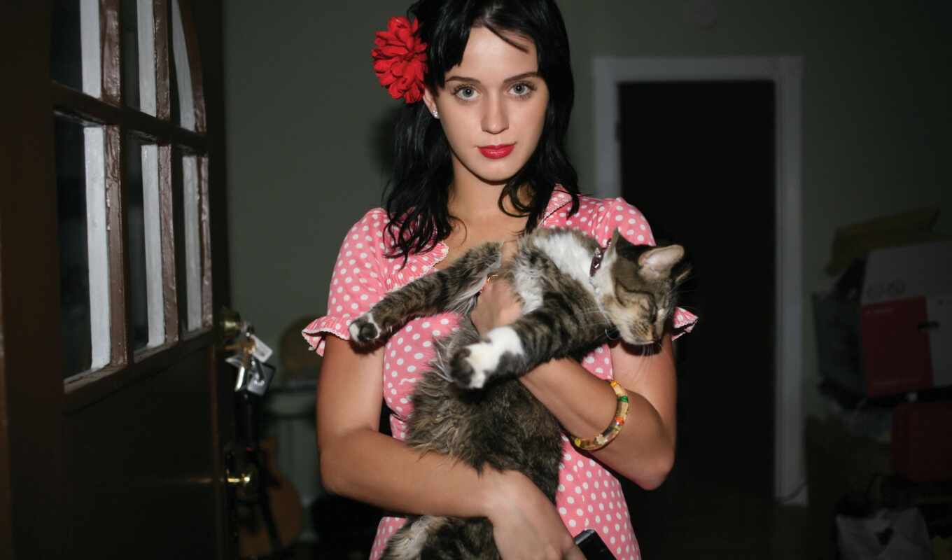 the most, people, katy, lovely, cats, animals, footprints, people, perry, katie