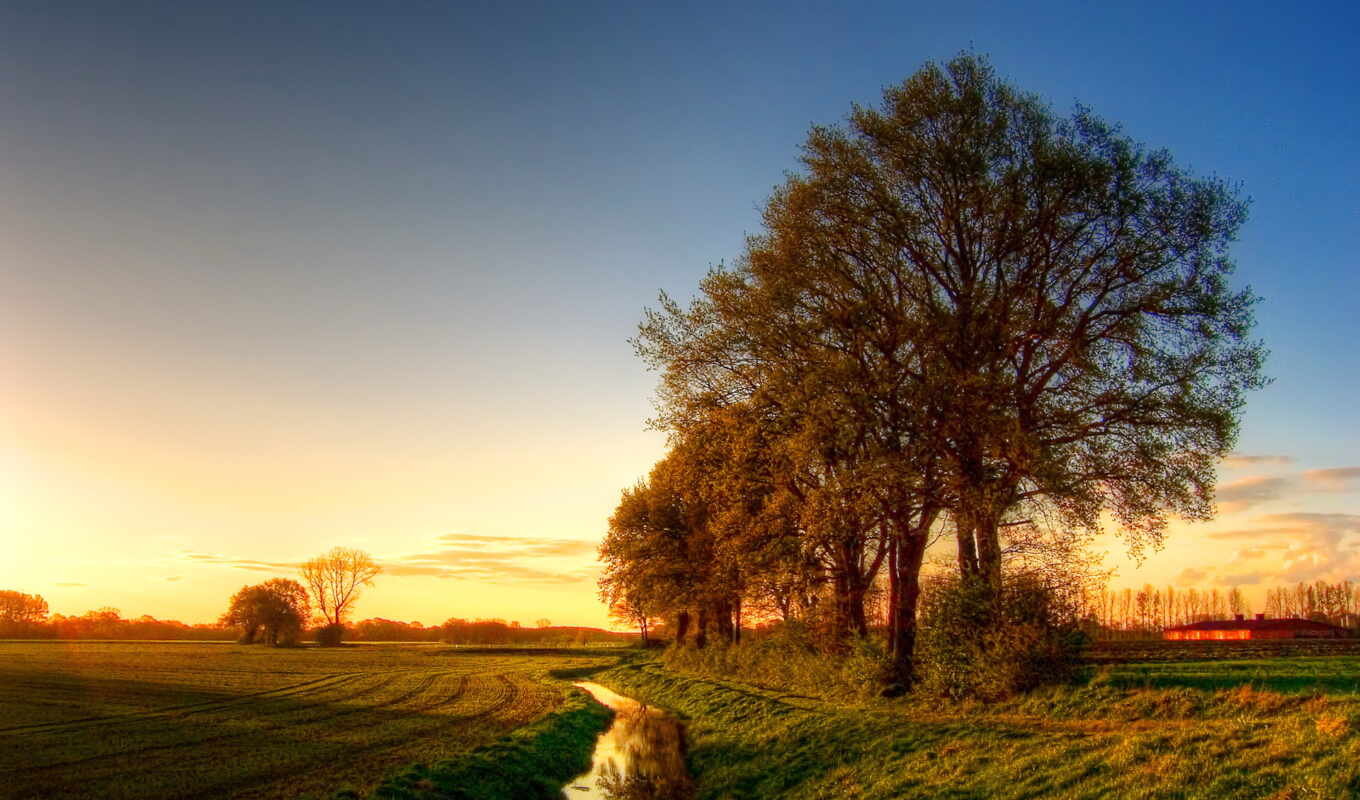 природа, mobile, дерево, поле, landscape, ditch