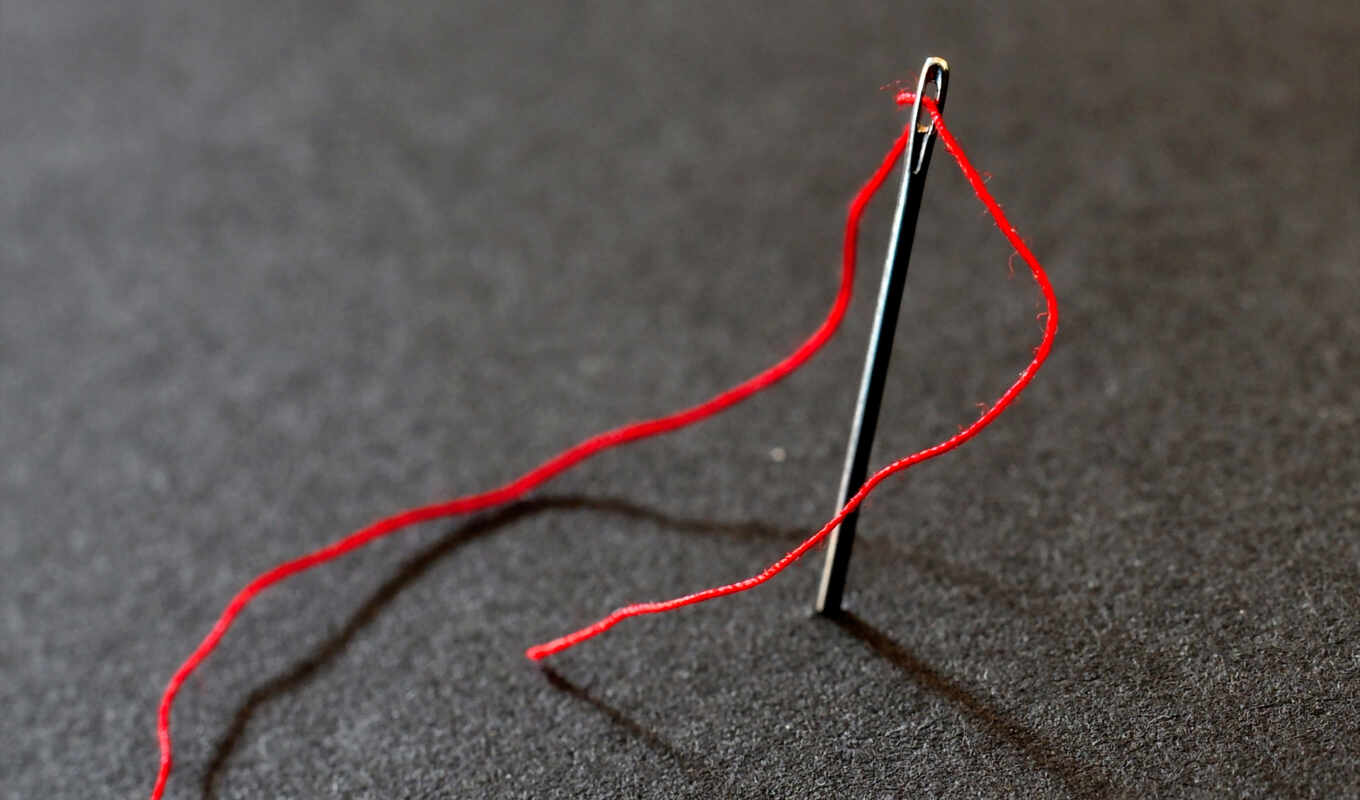 red, spine, Internet, assistance, thread, performance, desire, needles, of the, needle, filament