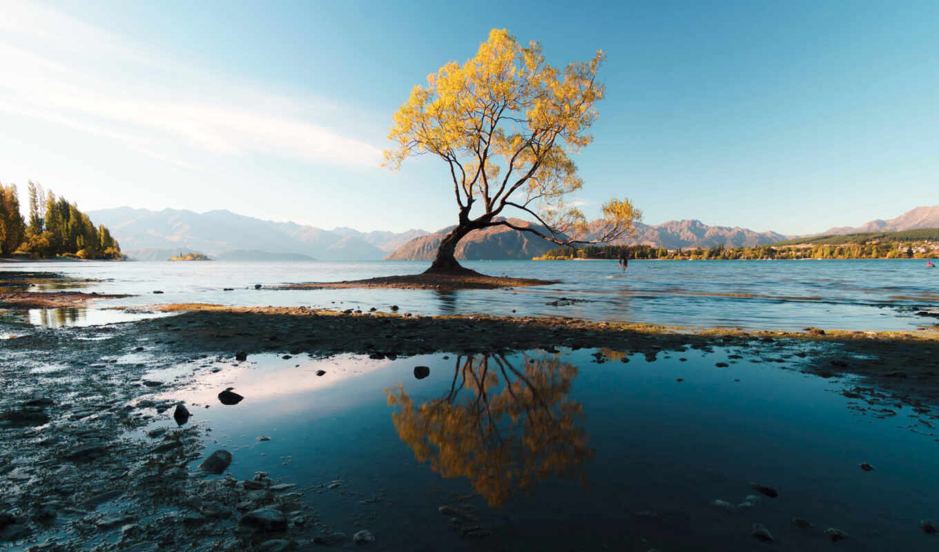 дерево, world, тема, much, осень, photograph, озеро, расин