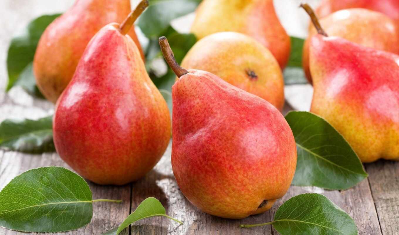Russia, variety, pear