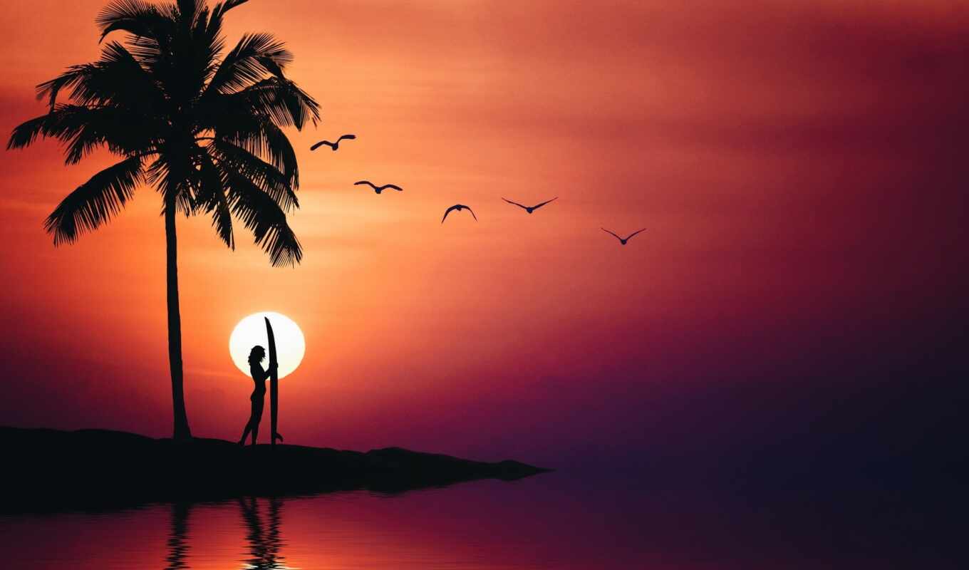 sky, girl, background, tree, sunset, sea, bird, a shadow, mood, palm
