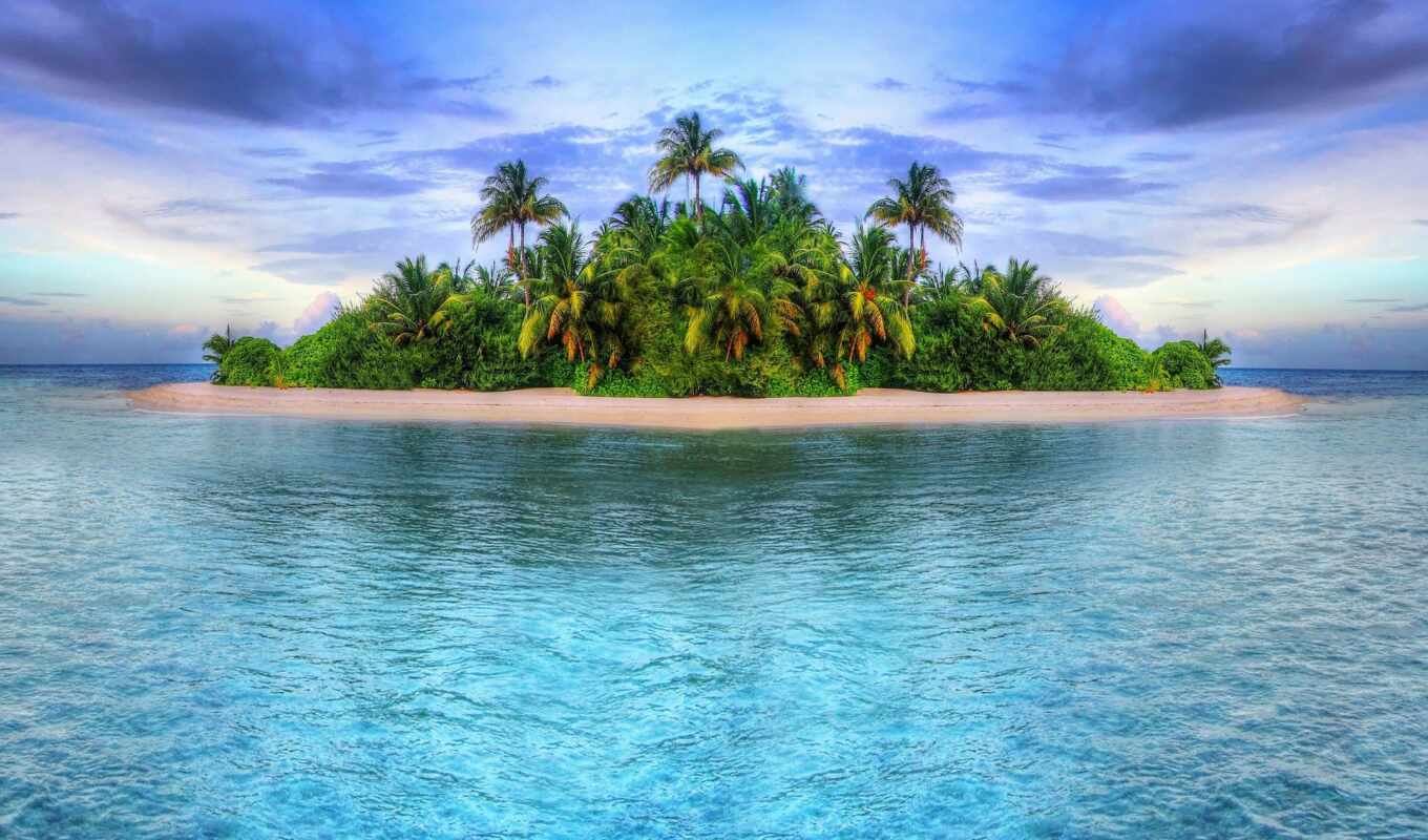 tree, beach, sea, island, ocean, palm, tropical
