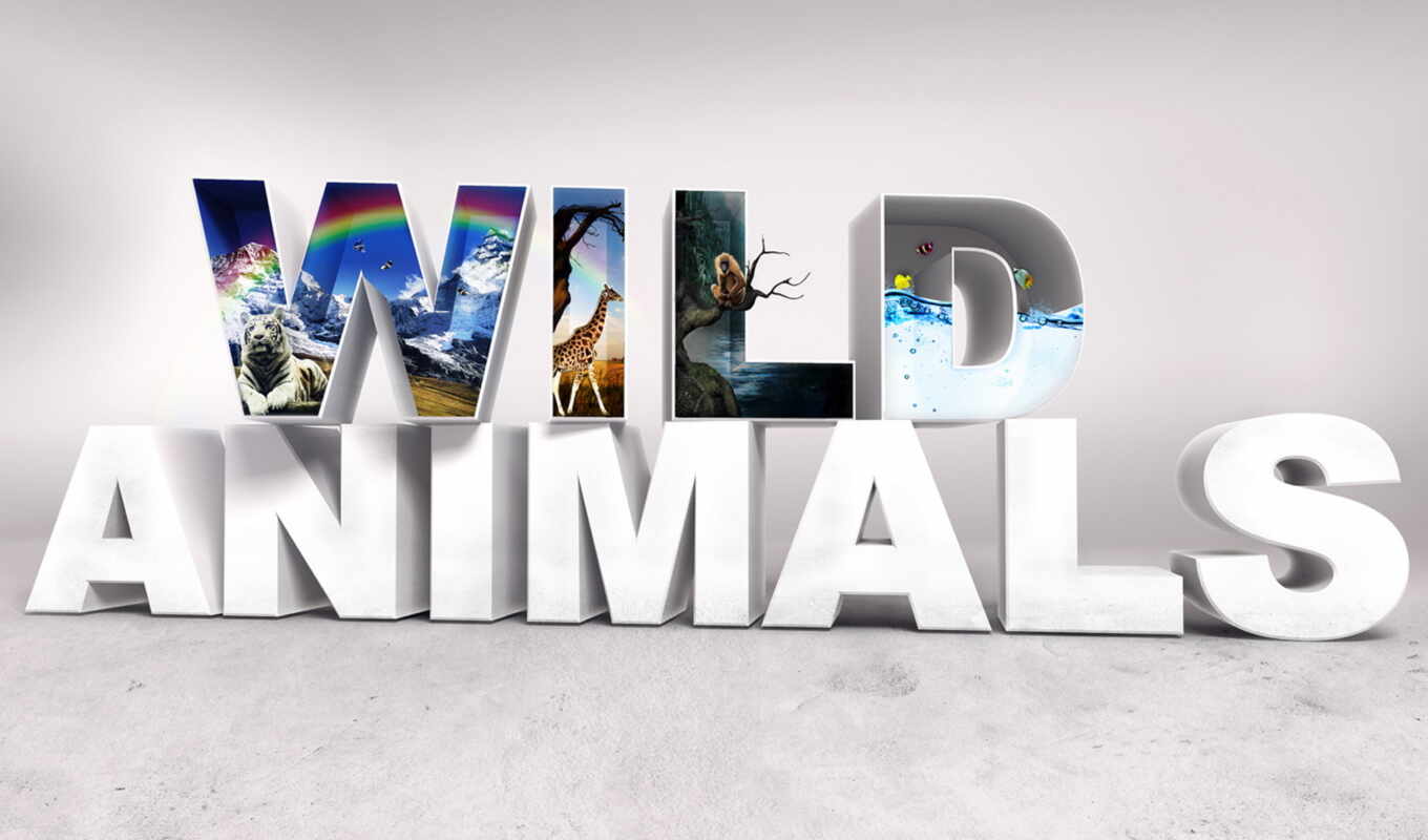 desktop, животные, animals, wild, baby, микс