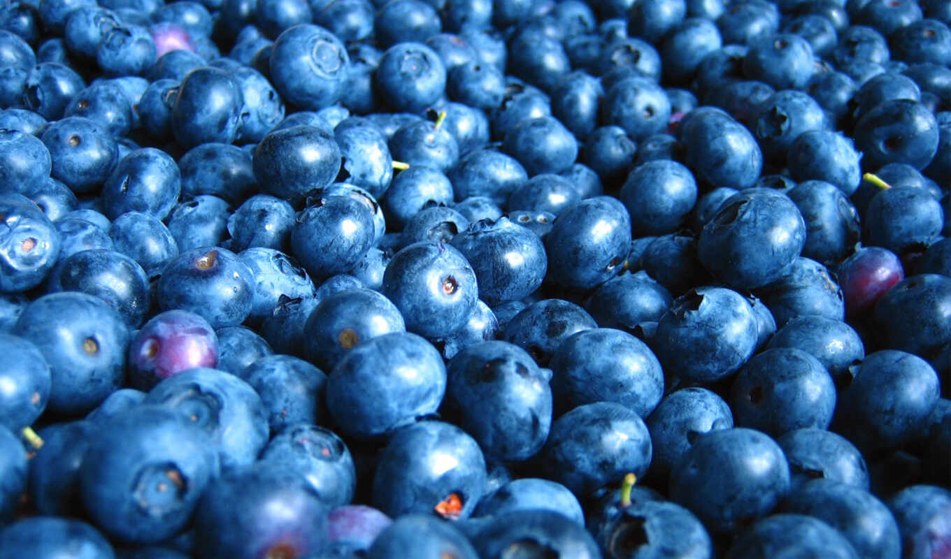 collection, fetus, berry, to become, blueberries, meal