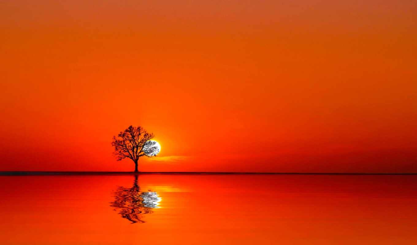 nature, sky, sun, tree, sunset, water, a shadow, sunrise, reflection