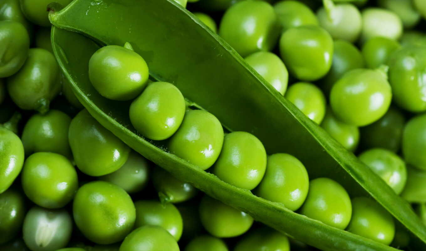 green, pea, green, under, peas, peasant