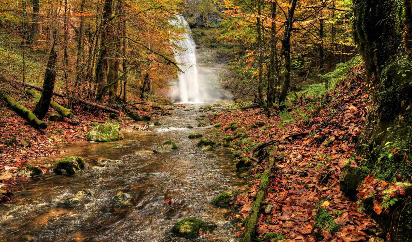 autumn, of, deviantart, nature, waterfall, rboles, forest, autumn, giggle, burtn