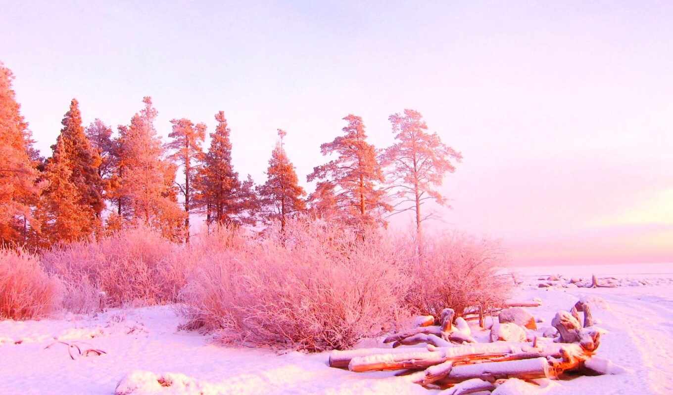 nature, resolution, winter, beautiful, pink, gold, pink