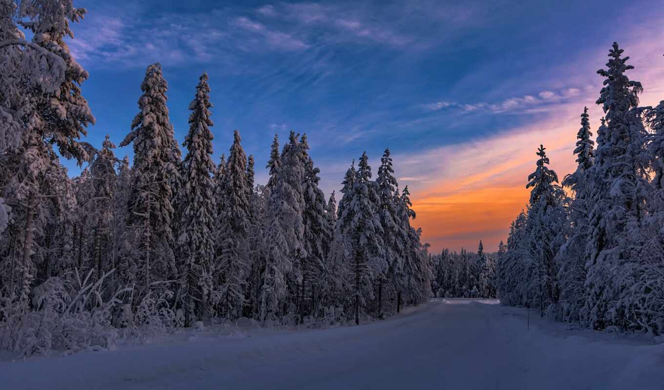 snow, winter, favorite, dusk, russian, translation, English, reverso