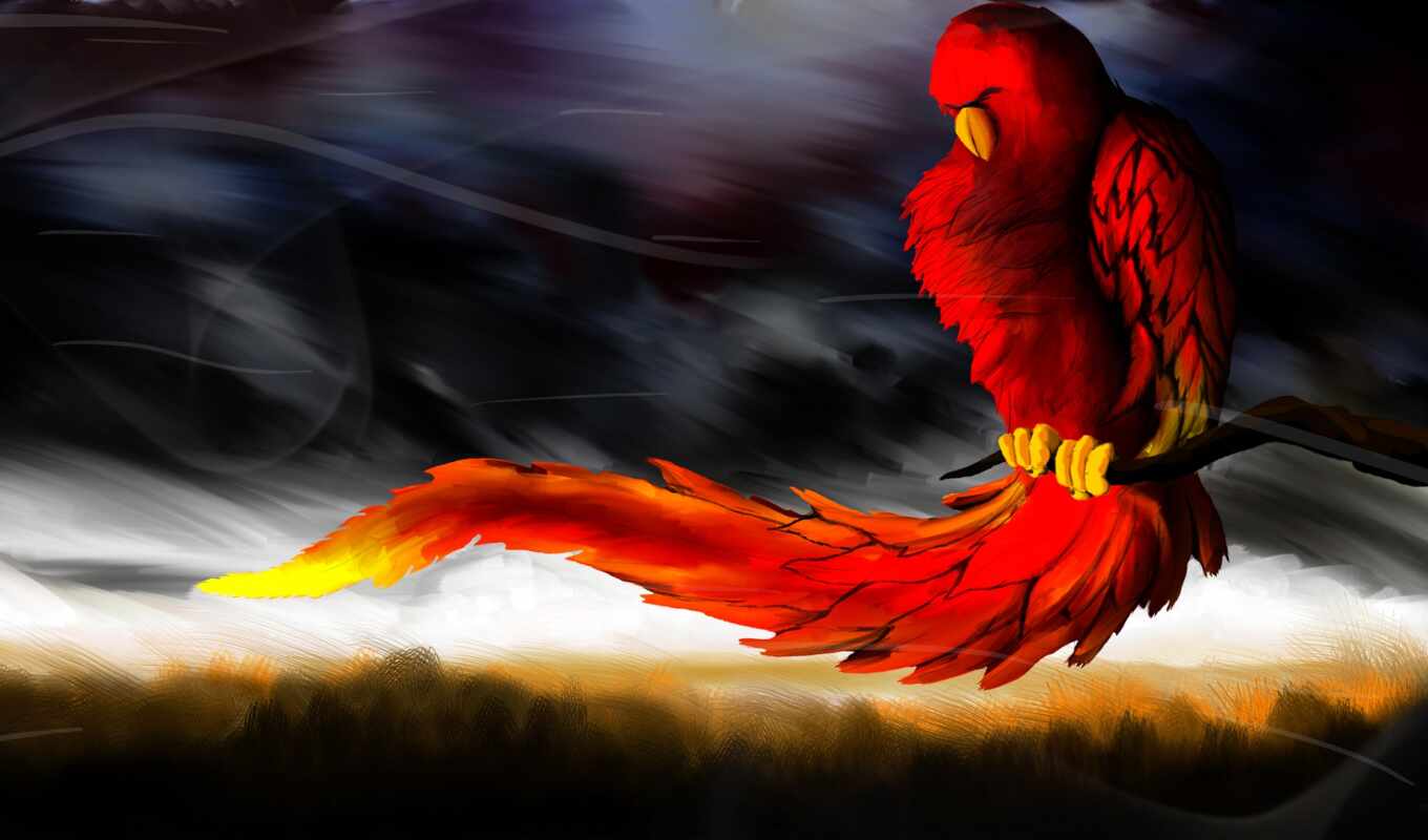 art, cool, red, bird, a parrot, fantasy, artwork, phoenix