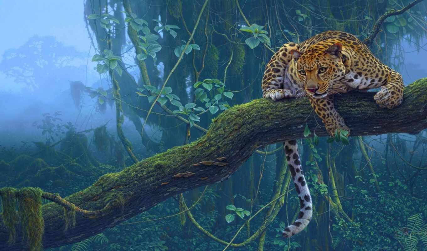 jungle, tree, leopard, predator, branch, animal
