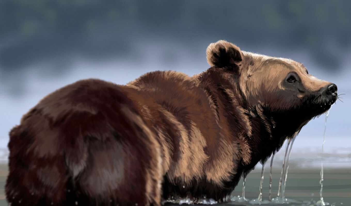 bears, zhivotnye, water, drops