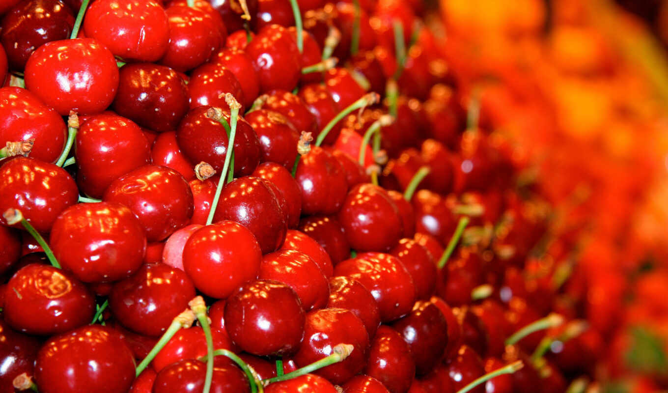 макро, качество, cherry, красная, ягода