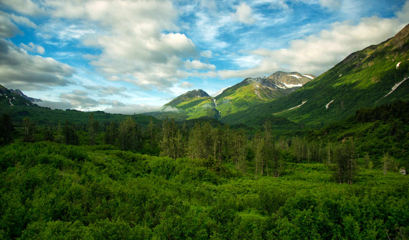 аляска, fore, scenery, mount, usa, national, detlef, natur, hintergrundbild, гора, chugach
