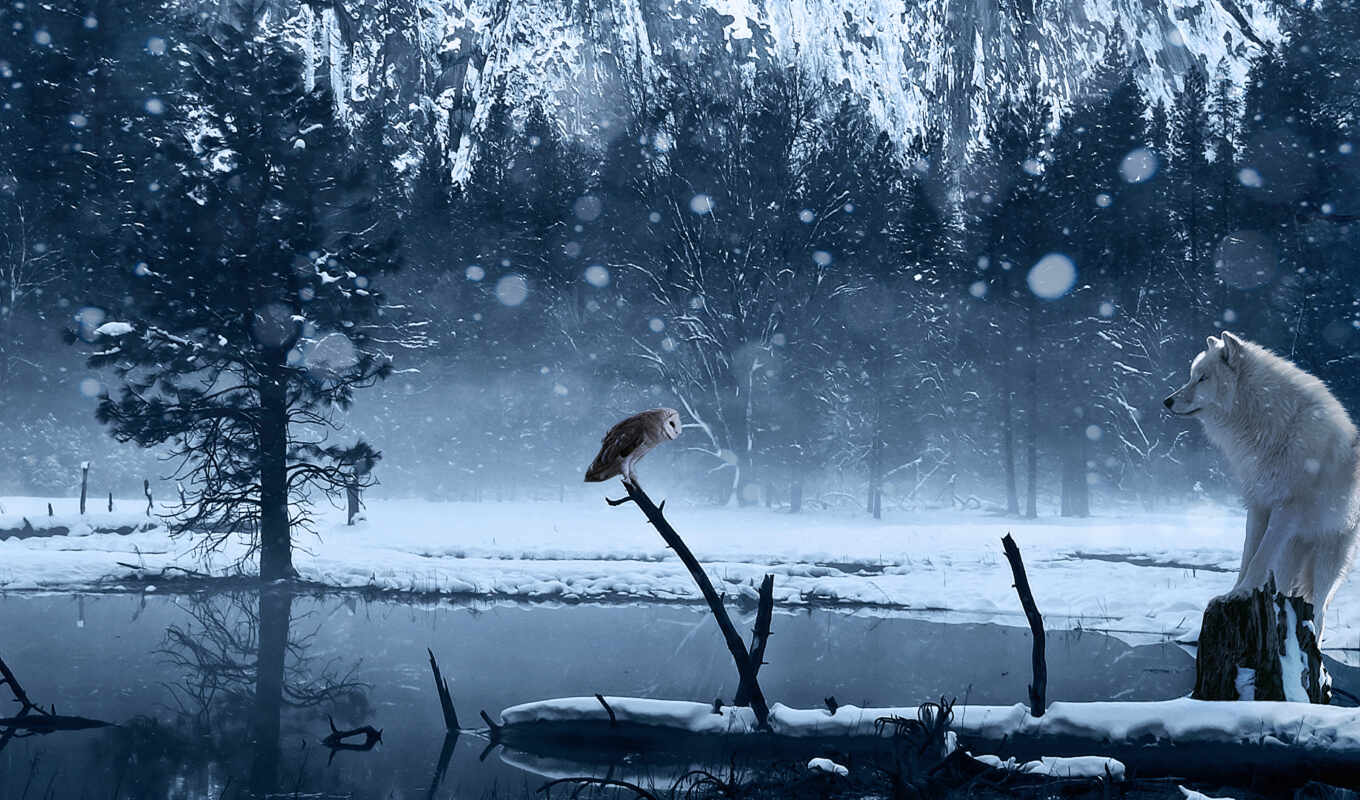 озеро, art, снег, winter, сова, волк