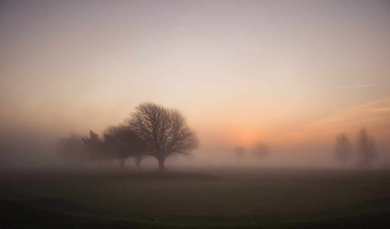 sunrise, foggy