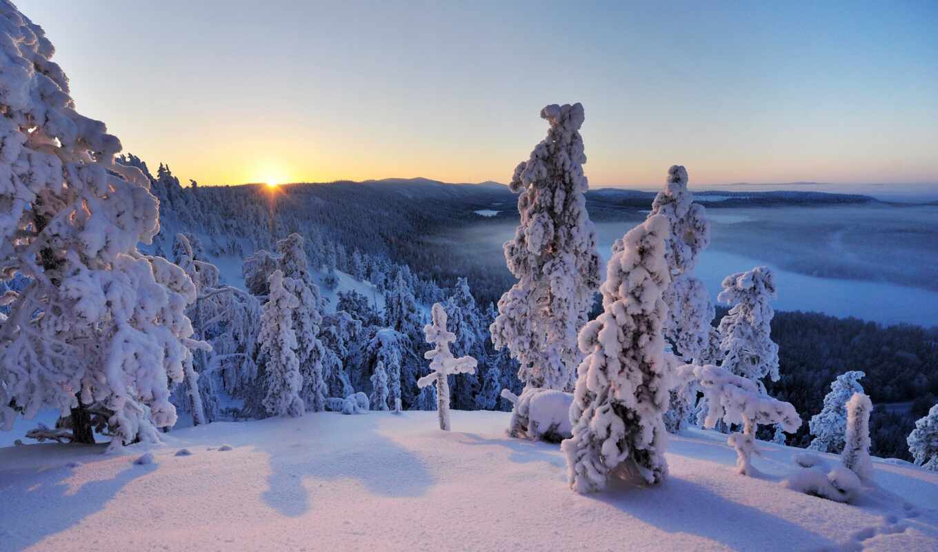дерево, снег, winter, финляндия, kuusamo, arm