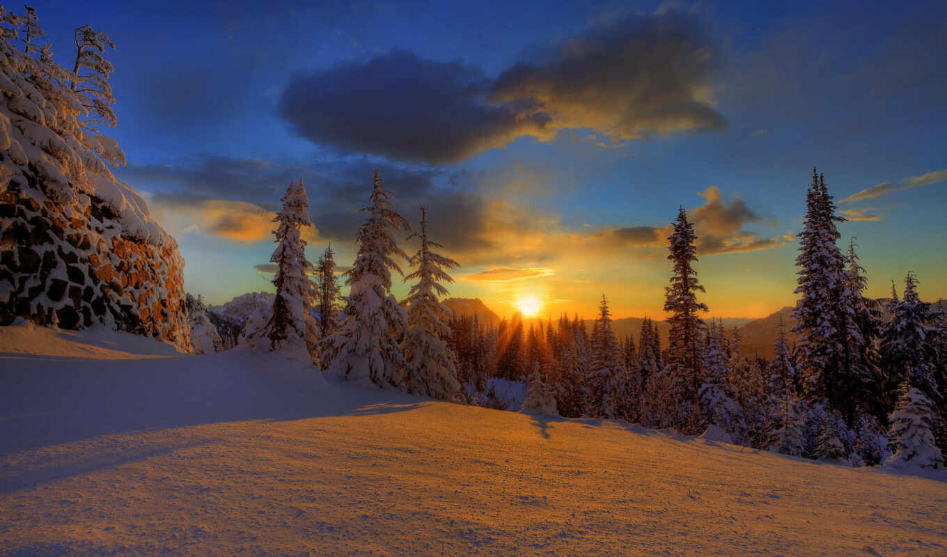 природа, небо, закат, снег, winter, лес, красавица, trees, елки, oblaka