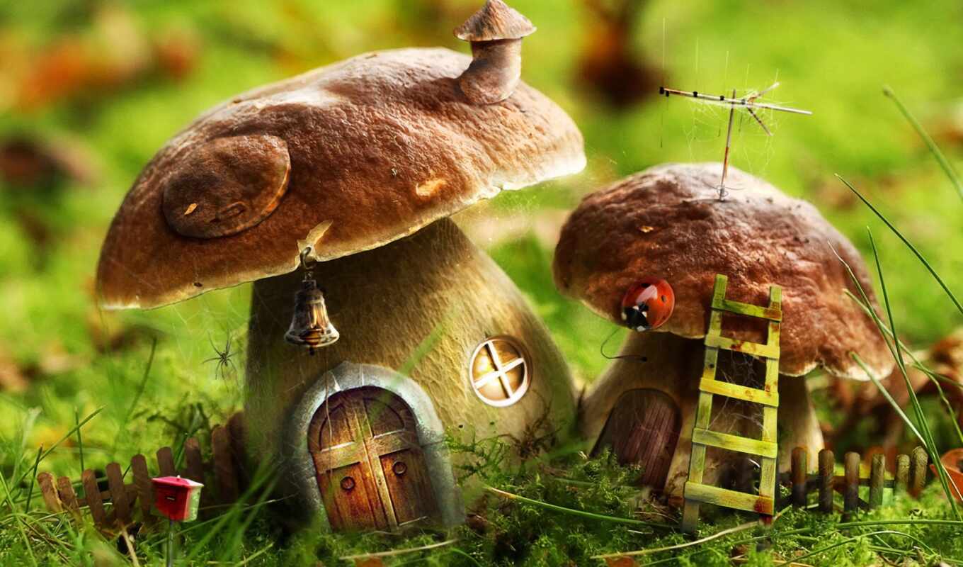 house, at home, fantasy, mushrooms, mushrooms