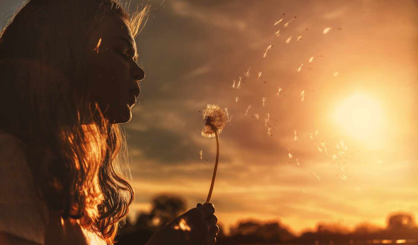 girl, picture, sun, comment, sunset