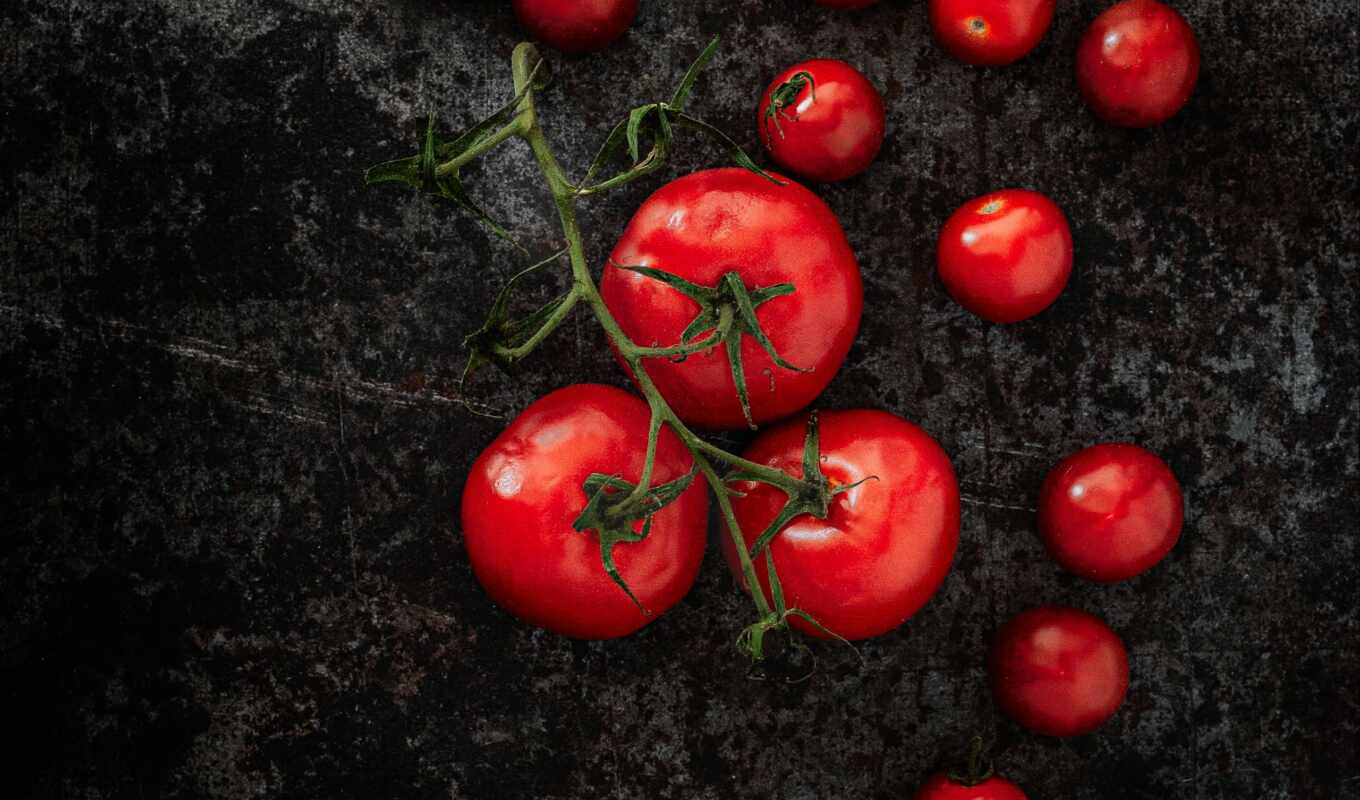 растительный, tomato, meal