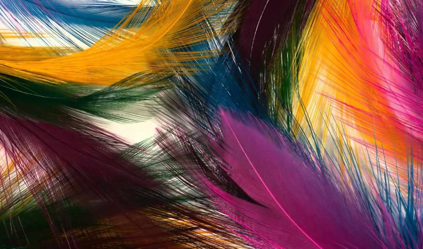 background, big, beautiful, feathers, multicolored