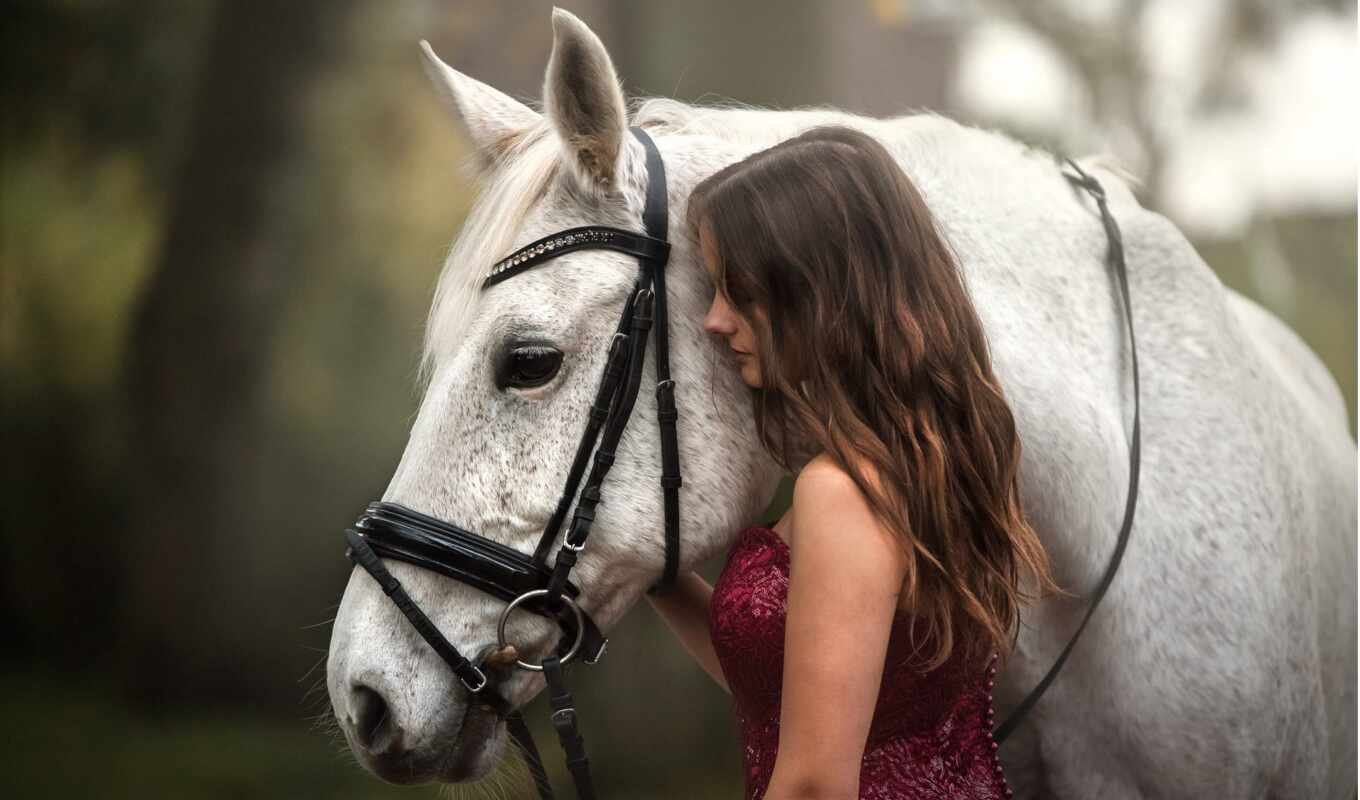 girl, summer, horse, dress, tablet, are standing, devushka, white, photographer, horse, ryad
